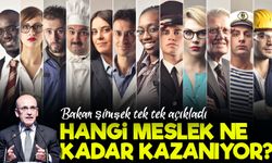 Bakan Şimşek Açıkladı: Hangi Meslek Ne Kadar Gelir Beyan Ediyor?