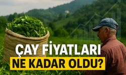 Yaş Çayda Bugün Çarpıcı Fiyat Açıklaması: Devlet Ve Özel Sektör Arasında Büyük Fark
