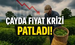 Bugün Çay Üreticisi İçin Dönüm Noktası: ÇAYKUR Destekli Fiyat Ve Özel Sektör Alım Rakamları Arasında