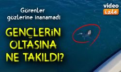 Trabzon’da Gençlerin Oltasına Bakın Ne Takıldı: Bölgemizde Şaşırtan Sürpriz!