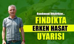 Fındıkta Erken Hasat Uyarısı! Randımanı Düşürüyor...