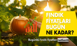 Güncel Fındık Fiyatları Ne Kadar? Rekor Geliyor...
