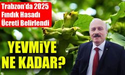 Trabzon’da 2025 Fındık Hasadı Yevmiyesi Bin 200 TL Olarak Açıklandı