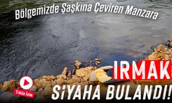 Bölgemizde Irmak Siyaha Bulandı: Sebebi Belli Oldu!