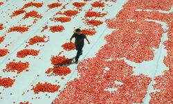 Hemme'nin Öldüğü Günlerden Biri Konusu Ne? Oyuncuları Kim?