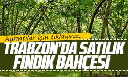 Trabzon Ortahisar ilçesinde 5.941 m² fındık bahçesi icradan satılıktır