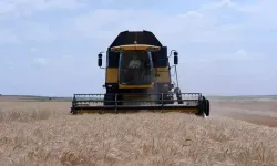 Çiftçinin Maliyeti Katlanıyor! Girdi Fiyatları Yükseldi