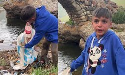 Taşköprü Yaylası'nda Çöp İsyanı! Küçük Mete'den Doğa Çağrısı