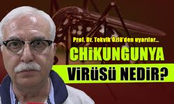 Chikungunya Virüsü Nedir? Prof. Dr. Tevfik Özlü’den Önemli Uyarılar