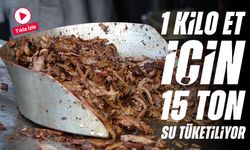 1 Kilo Et İçin 15 Ton Su Tüketiliyor: Prof. Dr. Kadıoğlu'ndan Çarpıcı Uyarı