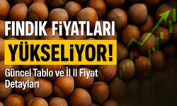 Fındık Fiyatları Ne Kadar Oldu? Düşüş Devam Edecek Mi?