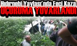 Hıdırnebi Yaylası'nda Feci Kaza: Araç 30 Metrelik Uçuruma Yuvarlandı