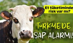 Türkiye’de Şap Hastalığı Alarmı! Kırmızı Et Tüketiminde Risk Var mı?