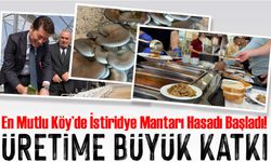 Ortahisar’dan Üretime Büyük Katkı: En Mutlu Köy’de İstiridye Mantarı Hasadı Başladı!