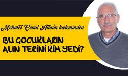 Mehmet Cemil Altın’ın yazısı gündemi sarstı