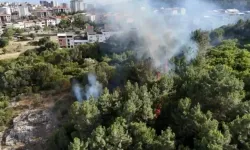 Pendik'te Aydos Ormanı'nda yangın çıktı: Müdahale sürüyor