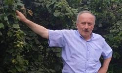 Foşa Fındığına Arsin Mührü! Türkiye’ye Örnek Olacak