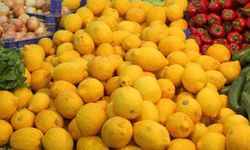 Limon Fiyatı Rekor Kırdı: Tanesi 25 TL, Kilosu 200 TL!