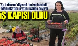 Bayburt’ta 20 Dönümlük Çilek Tarlası 15 Kadına İş Kapısı Oldu
