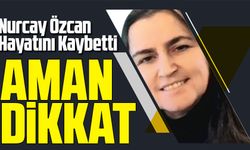 Fındık Bahçesinde Arı Soktu, Nurcay Özcan Hayatını Kaybetti