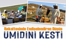 Bayburt’ta Bal Rekoltesinde Endişelendiren Düşüş: Kovan Başına 5 Kilogram