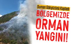 Bölgemizde İki Yer Alevlere Teslim Oldu! Duman Gökyüzünü Kapladı