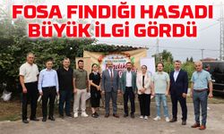 Arsin Foşa Fındığı Hasat Töreni Renkli Görüntülere Sahne Oldu