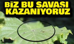Trabzon Ortahisar Ziraat Odası Başkanı Mustafa Bekar: “9 Yılda Çiftçimizin Yanında Olduk”