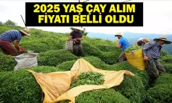 Çayda Bugün Fiyat Şoku Patladı: ÇAYKUR ve Özel Sektör Karşı Karşıya