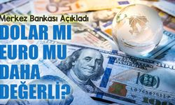 Reel Efektif Döviz Kuru Temmuzda Geriledi; TÜFE bazlı REK son 10 ayın en düşük seviyesine indi: 69,36