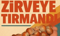 Şaşırtıcı Artışta Fındık Fiyatları Bugün Zirveye Tırmandı: İl İl Serbest Piyasa Tablosu