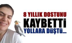 8 Yıllık Dostunu Kaybetti! Yollara Düştü...