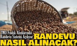 TMO Fındık Alımlarında Randevu Sistemi Açılıyor