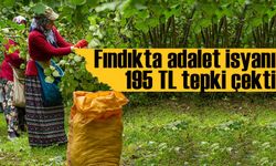 Fındık Fiyatı Tepki Topladı: “195 TL, Üreticinin Alın Terini Hiçe Sayıyor!”