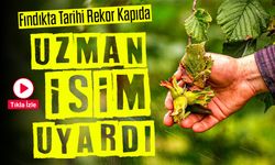 Fındıkta Tarihi Rekor Kapıda: Uzmanlar Beklentiyi Açıkladı!