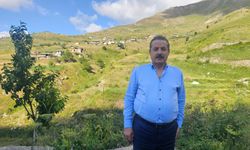 Artvin'de "Şap Hastalığı" Açıklaması! İlçe İlçe Son Durum