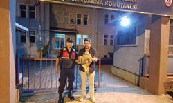 Yaralı Şahini Jandarma Kurtardı