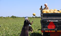 Kadın İşçiler Ekmek Parasını Topraktan Çıkartıyor