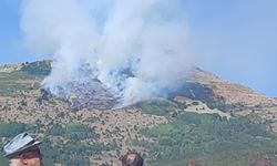 Gümüşhane'de Örtü Yangını! Ekiplerden Müdahale