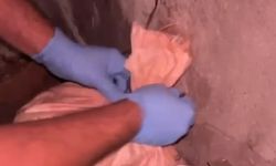 Bu Kez de Arı Kovanına Gizlediler! Zehir Tacirlerine Darbe