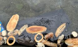 Rize’de Denize Dökülen Ekmek ve Simitler Tepki Çekti