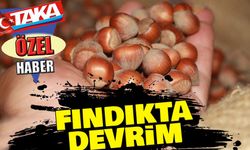 Trabzon’da Fındıkta Devrim! Haydar Meral’den 400 Kilo Hedefi