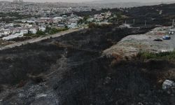 İzmir’de Orman Yangınının Bilançosu Havadan Ortaya Çıktı