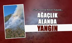 Alevler Yükseldi! Ağaçlık Alanda Yangın