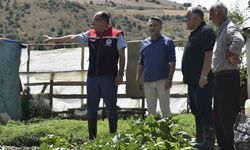Eko-Köy’de tarımsal inceleme yapıldı
