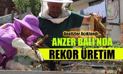 2025 Rekoltesi Rekor Seviyede! Anzer Balı Üreticiyi Güldürecek