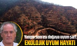KTÜ’lü Uzmandan Orman Yangınları ve İklim Değişikliği Üzerine Kritik Uyarılar