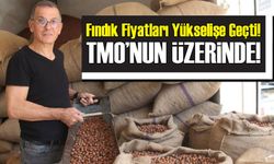 Fındık Fiyatları Yükselişe Geçti! Giresun’da TMO’nun Üzerinde Alım Başladı