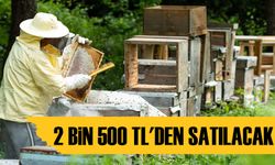 Artvin’de 2025 Bal Fiyatları Açıklandı: Kestane Balı 2 Bin 500 TL Oldu