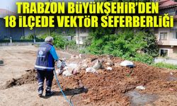 Trabzon Büyükşehir’den Vektör Seferberliği : Binlerce Noktada İlaçlama